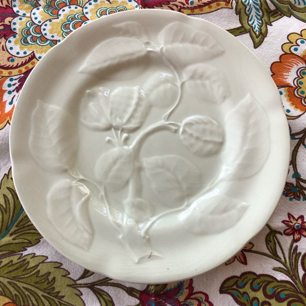 SET of 6 Williams Sonoma Embossed Vine & Nut Salad/Dessert plates.  Soft Celadon
